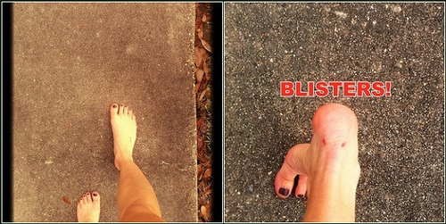 8362229309_26e0b1fab3