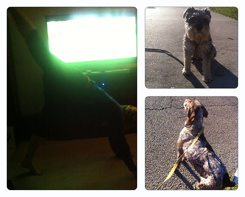 8402393428_c873b91fb9