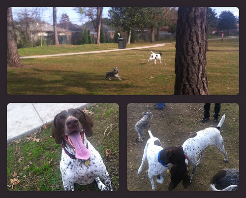 8423238069_5725c5e436