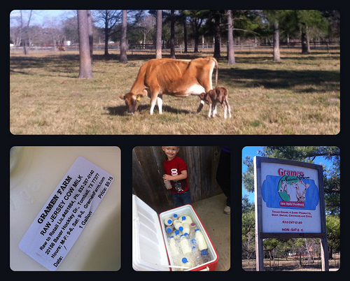 8446813055_da3d549545-1