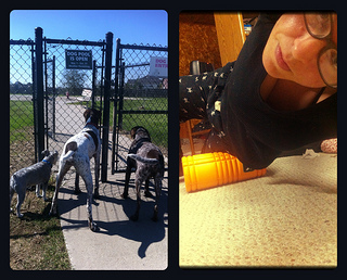 8514729478_20cbe59727_n